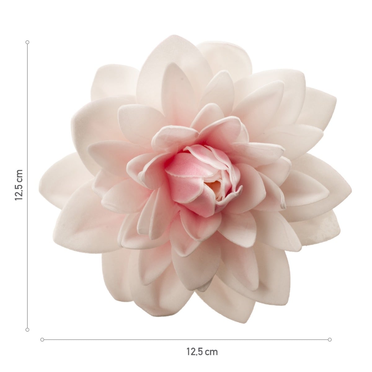 Dalia géant en azyme - Rose