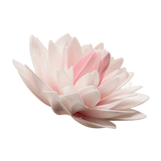 Dalia géant en azyme - Rose