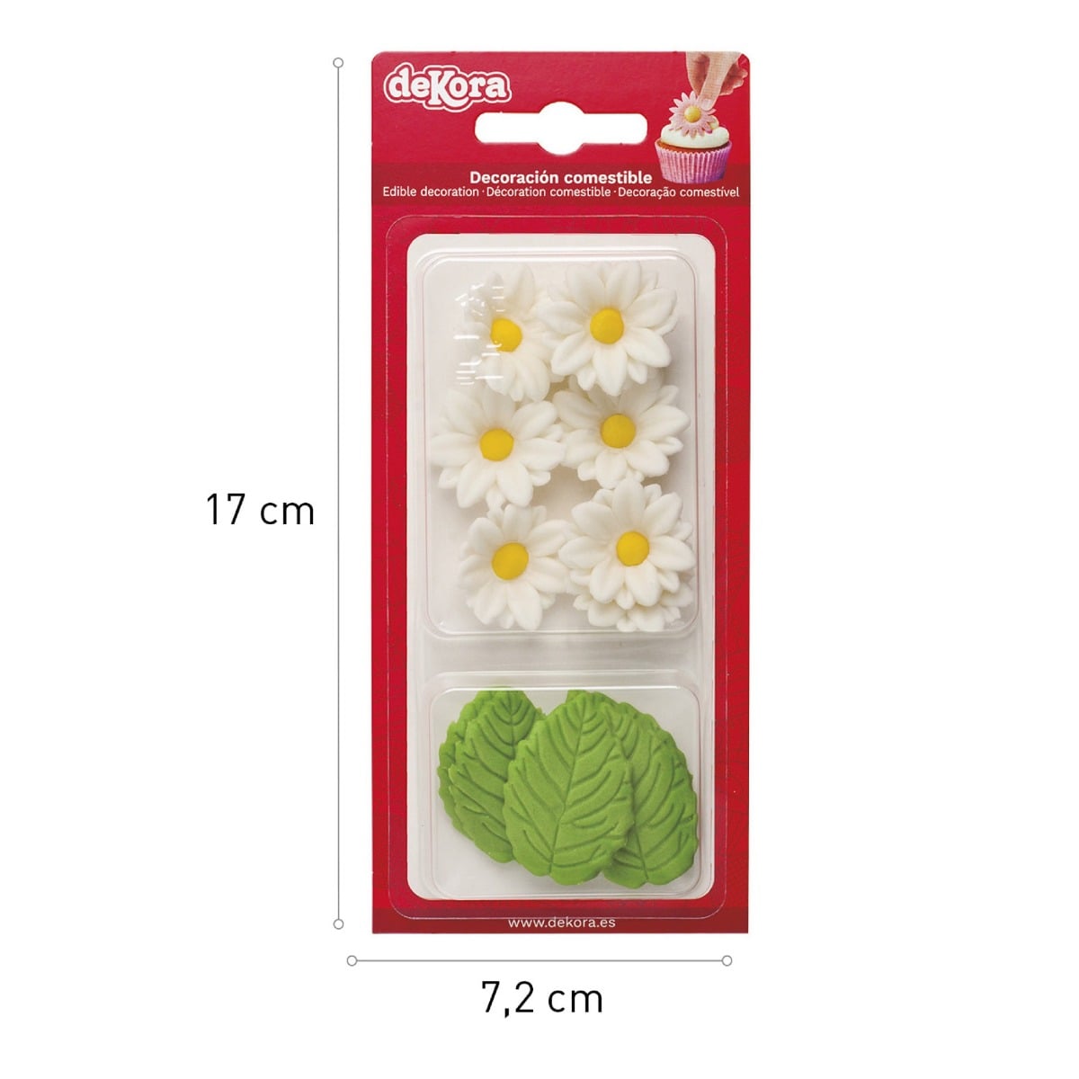 Marguerites blanches et feuilles en sucre