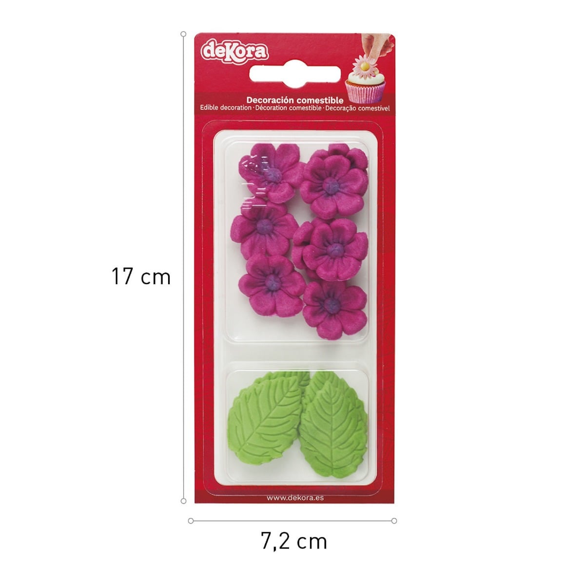 Marguerites fuchsia et feuilles en sucre