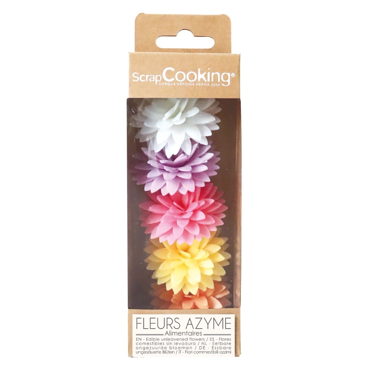 Dahlia colorées (5pcs)