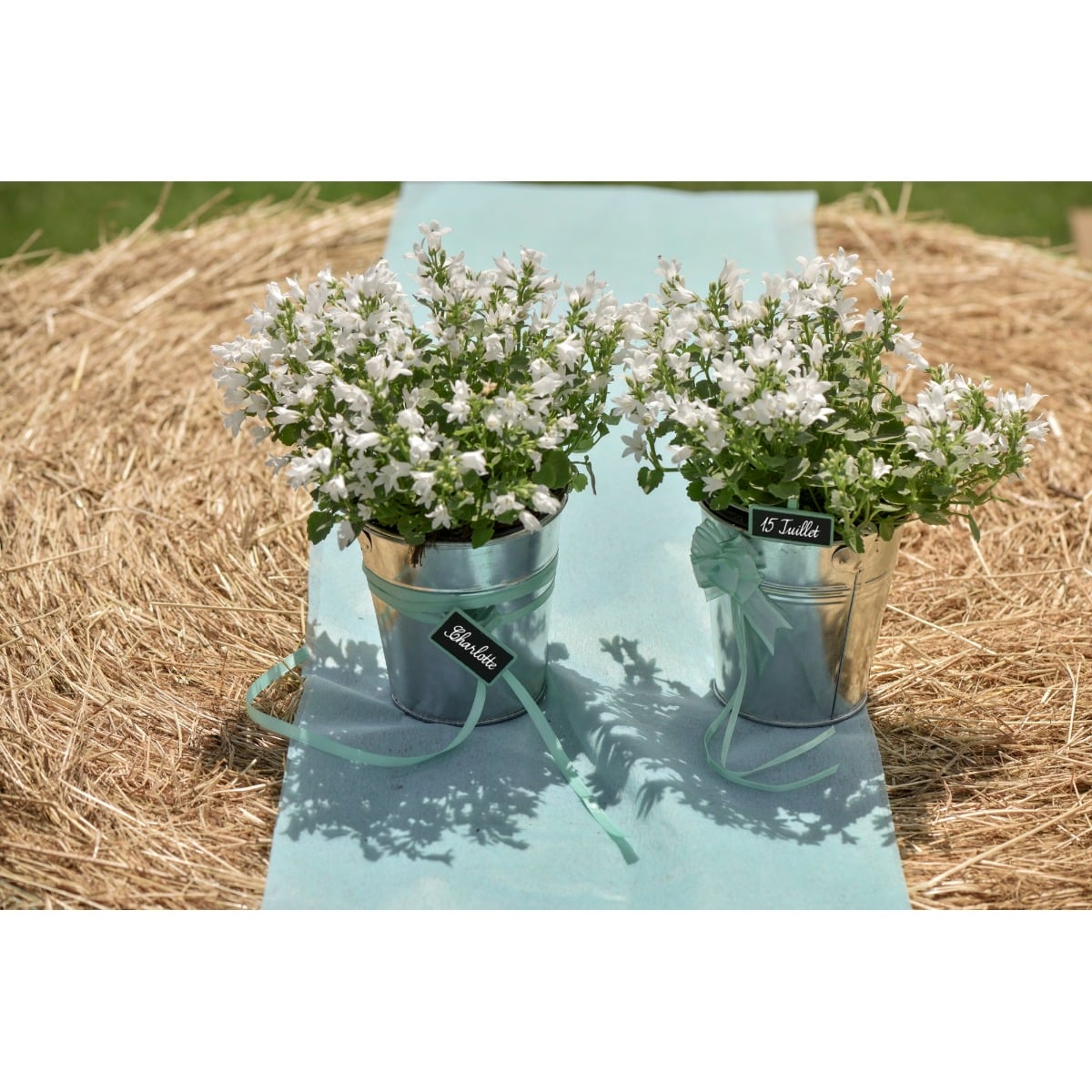 Ardoise Ecole sur pince - Naturel (4pcs)
