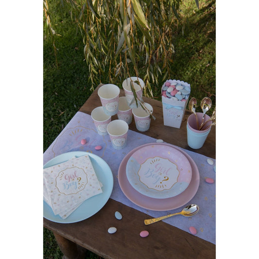 Assiettes Girl or Boy (10 pcs)