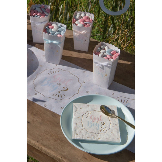 Serviettes Girl or Boy (20 pcs)