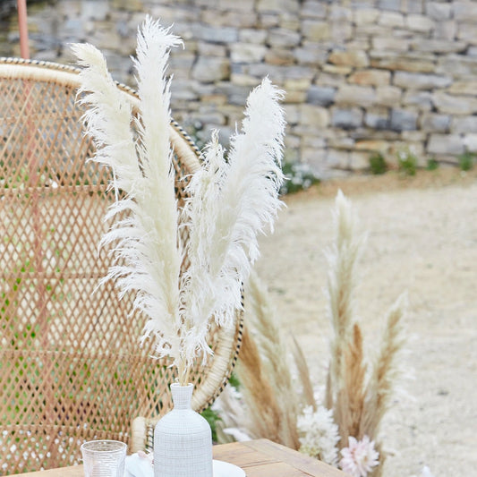 Tige de la Pampa Sechée - Blanche 90cm (5pcs)