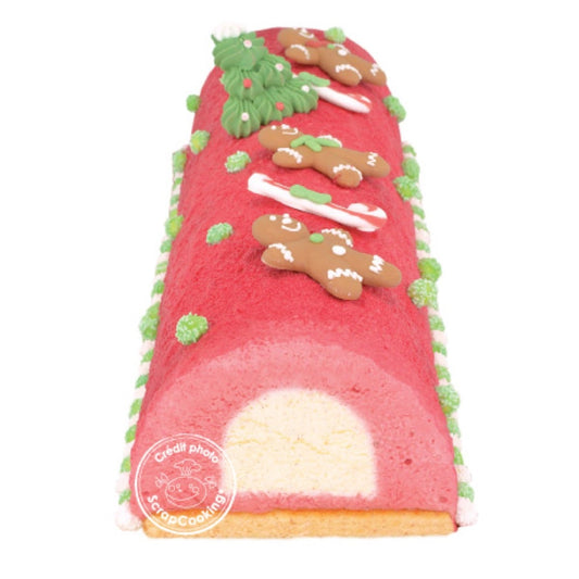 Moule à bûche + insert