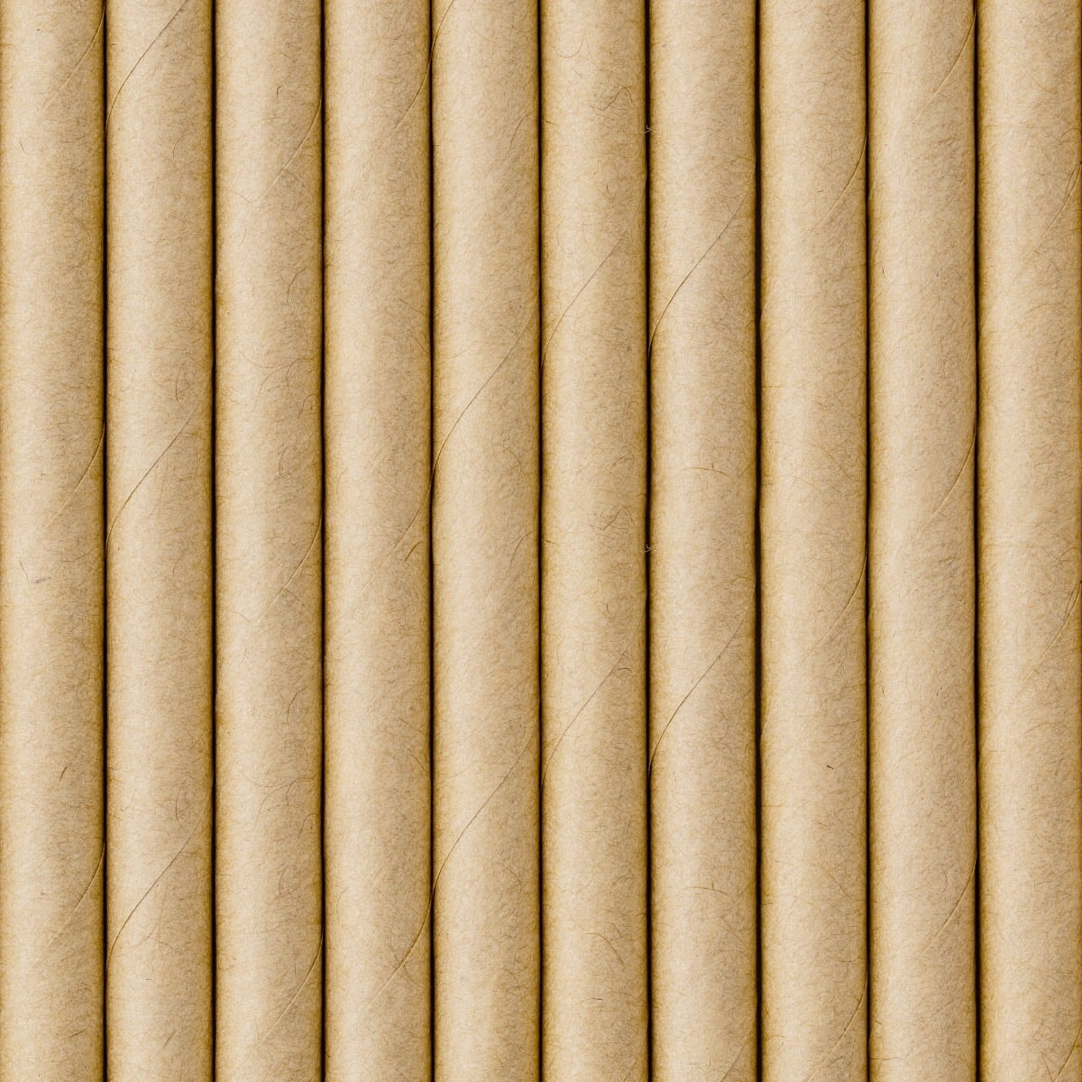 Pailles en papier Naturelles (10pcs)