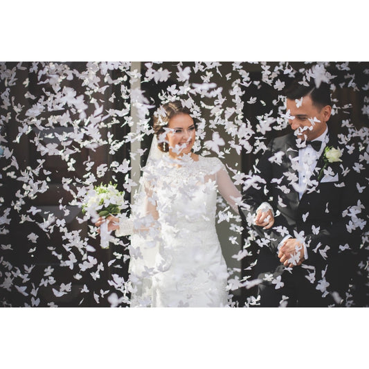 Canon à Confettis Papillons blanc - 40cm