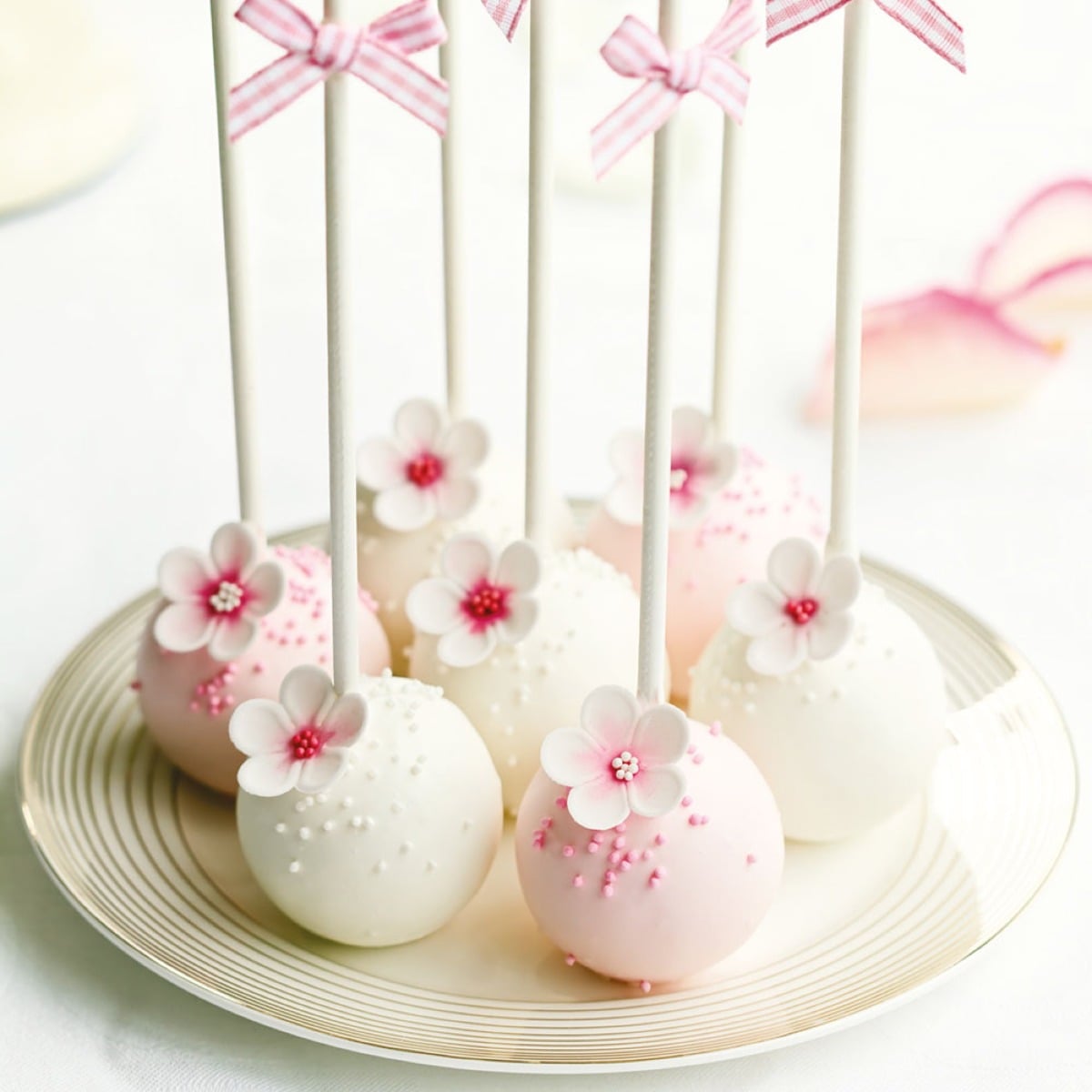 Bâtonnets à cake pops (25pcs)