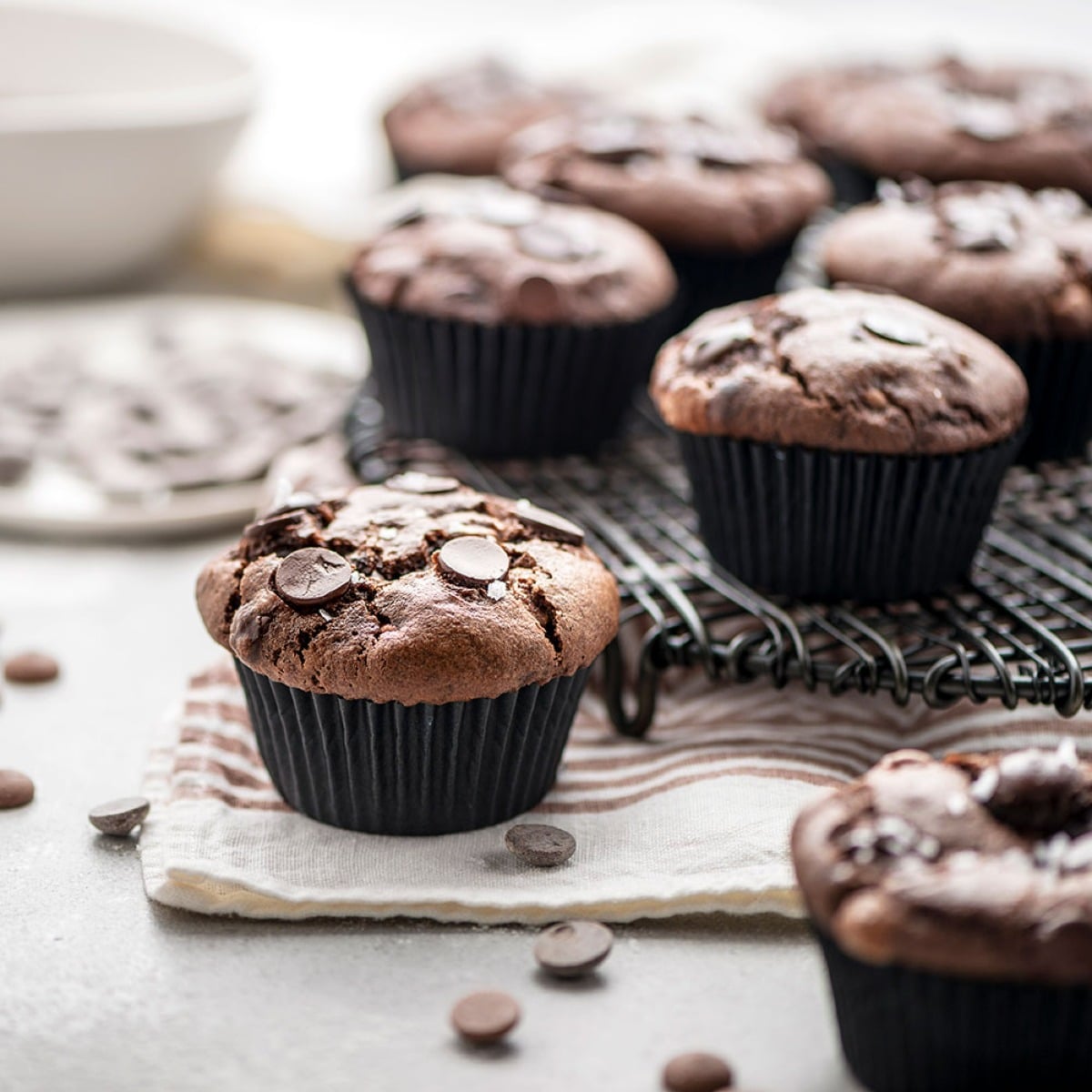 Caissettes à cupcakes  -  Noir (75pcs)
