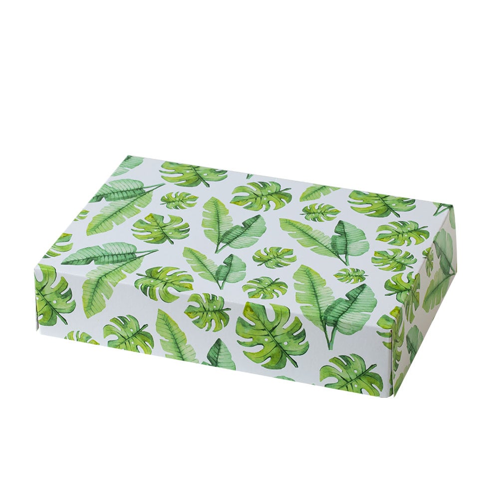 Boîte à Pâtisseries - Monstera Classique