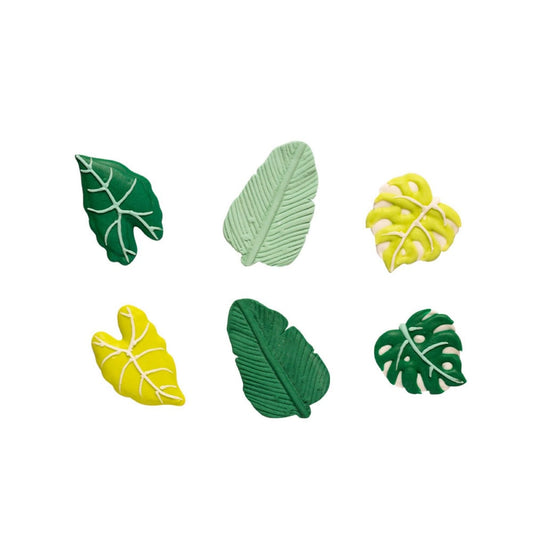 Décorations en sucre - Feuilles Tropicales