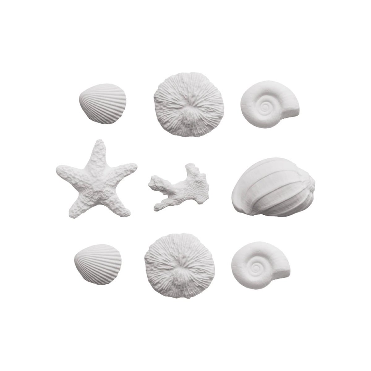 Décorations en sucre - Coquillages (9pcs)