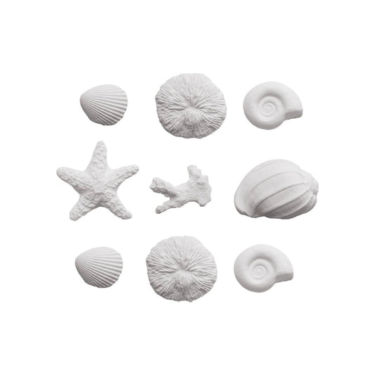 Décorations en sucre - Coquillages (45pcs)