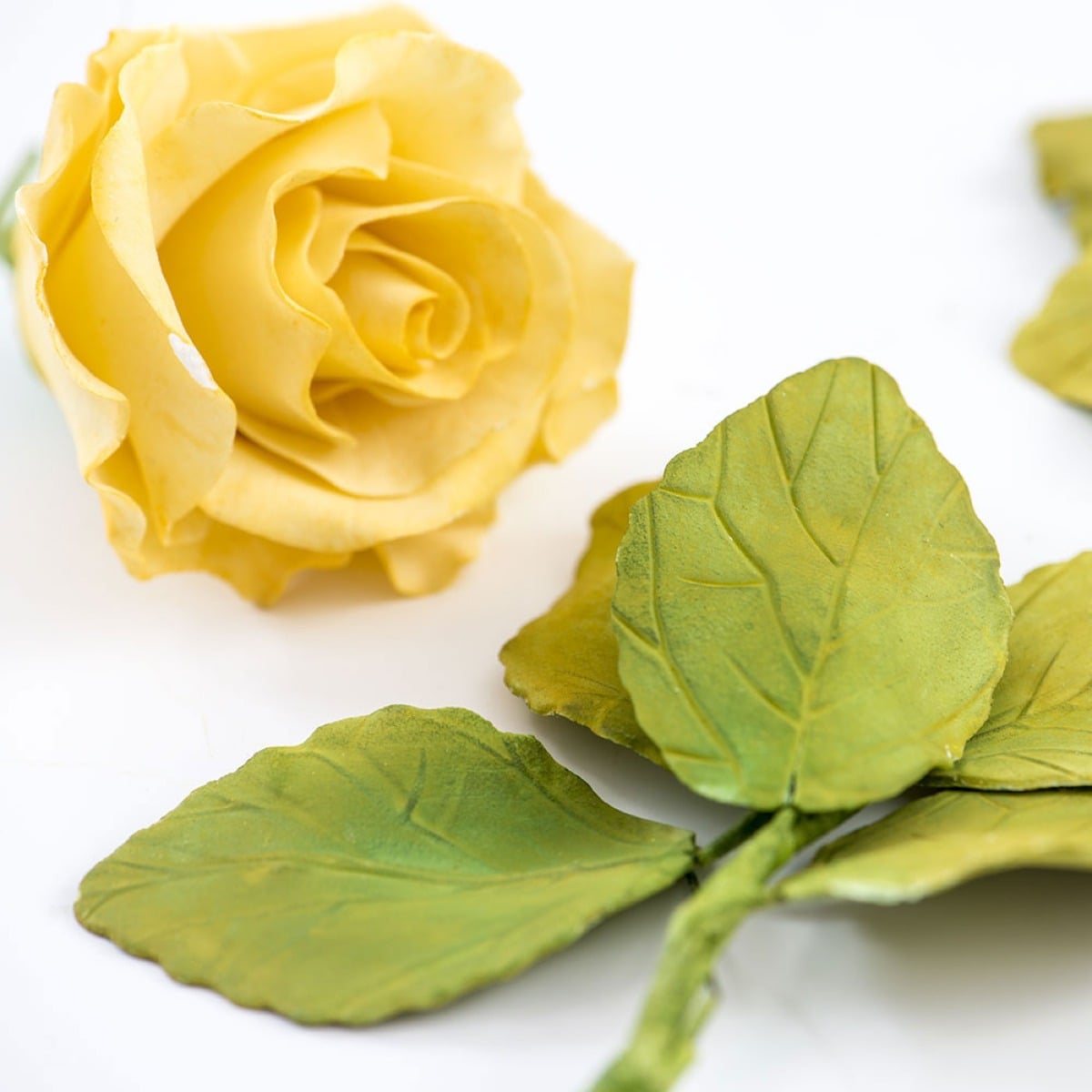 Emporte pièces - Feuilles de Rose (4pcs)