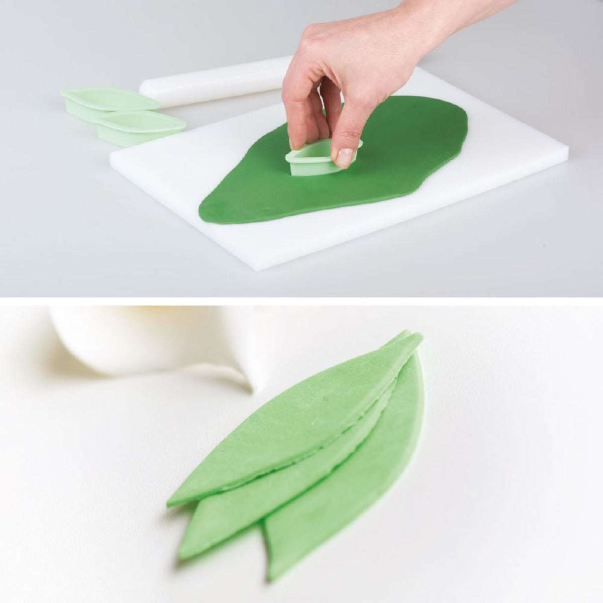 Emporte pièces - Feuilles longues (3pcs)