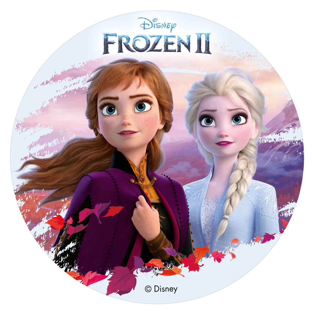 Disque comestible 20cm sans sucre - Reine des Neiges 2
