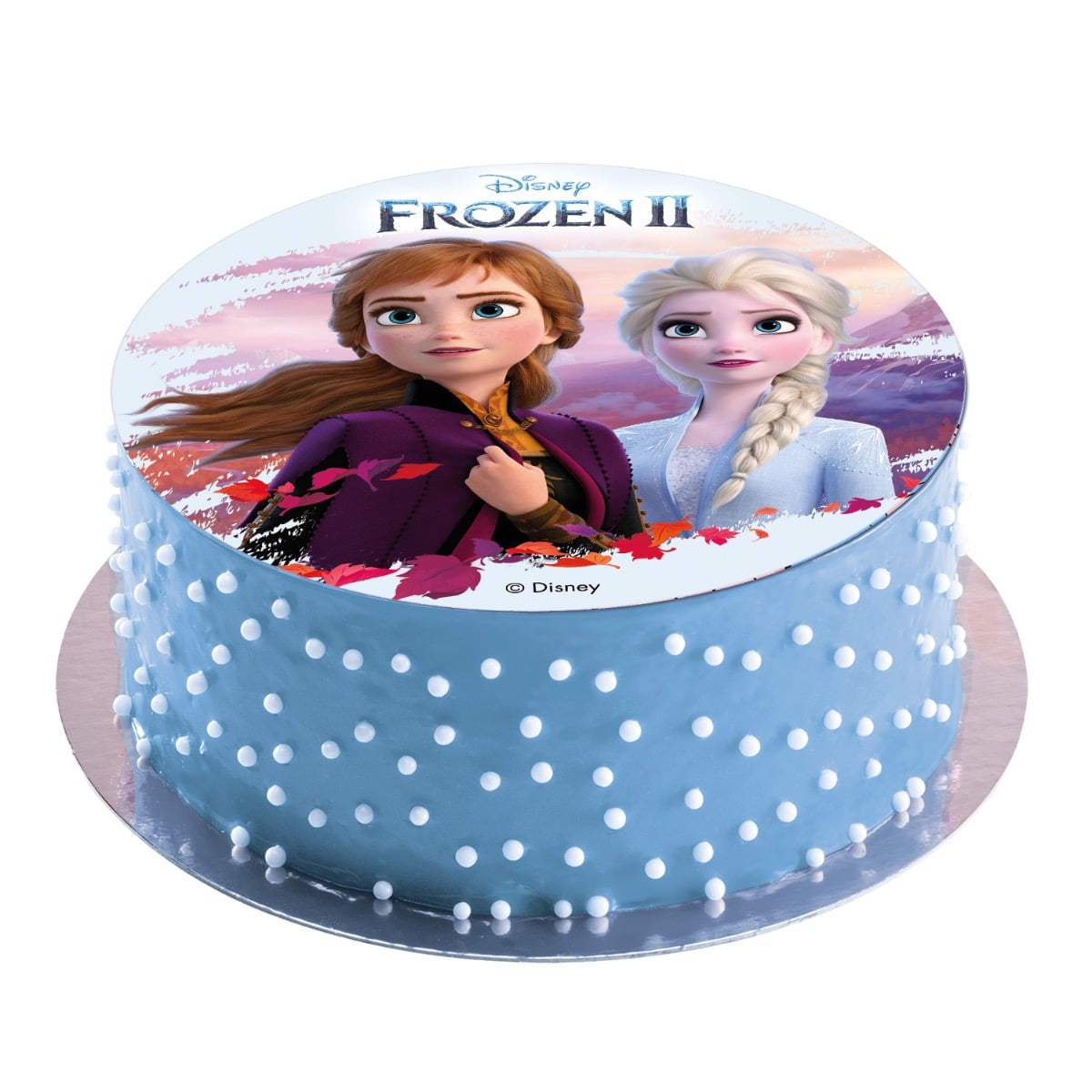 Disque comestible 20cm sans sucre - Reine des Neiges 2
