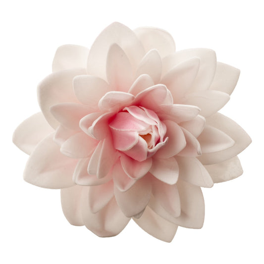 Dalia géant en azyme - Rose