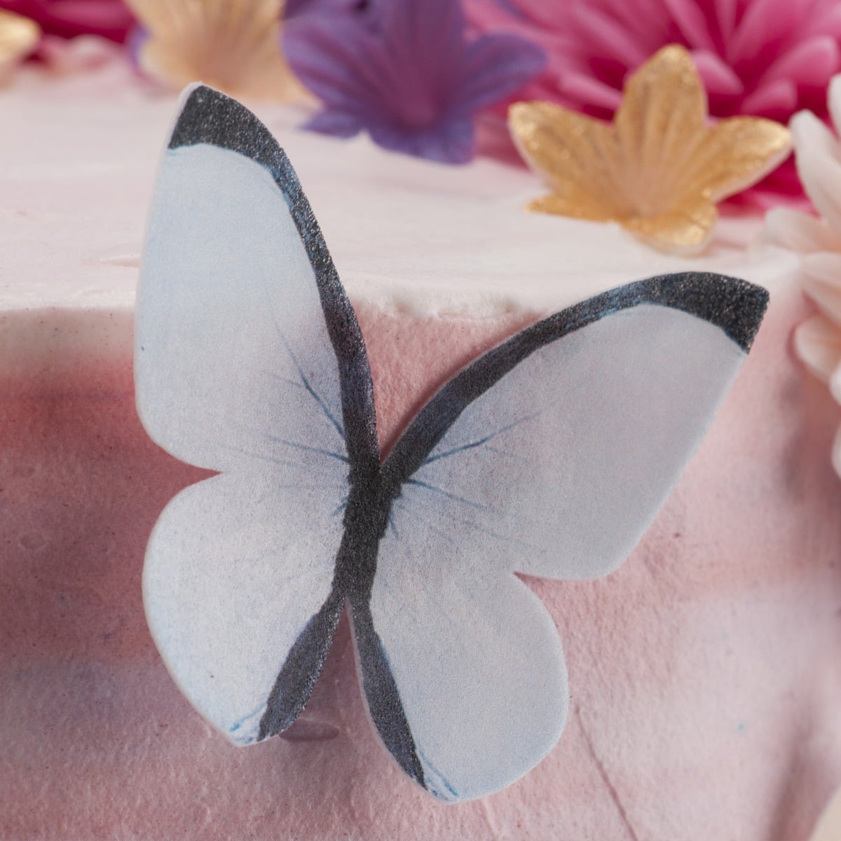 Décos comestibles - Papillon Pastel (79pcs)