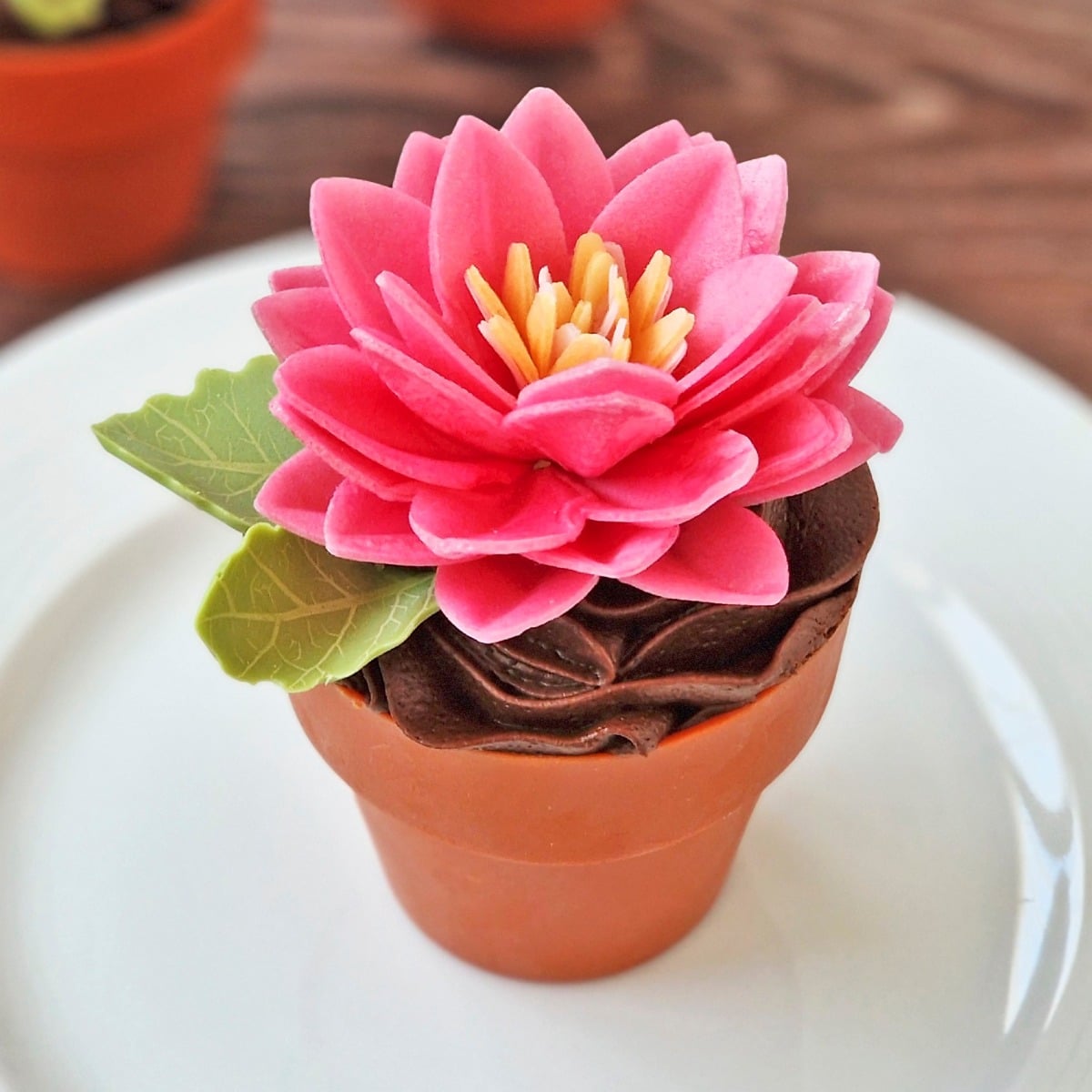 Fleurs de Lotus en azyme assorties (15pcs)