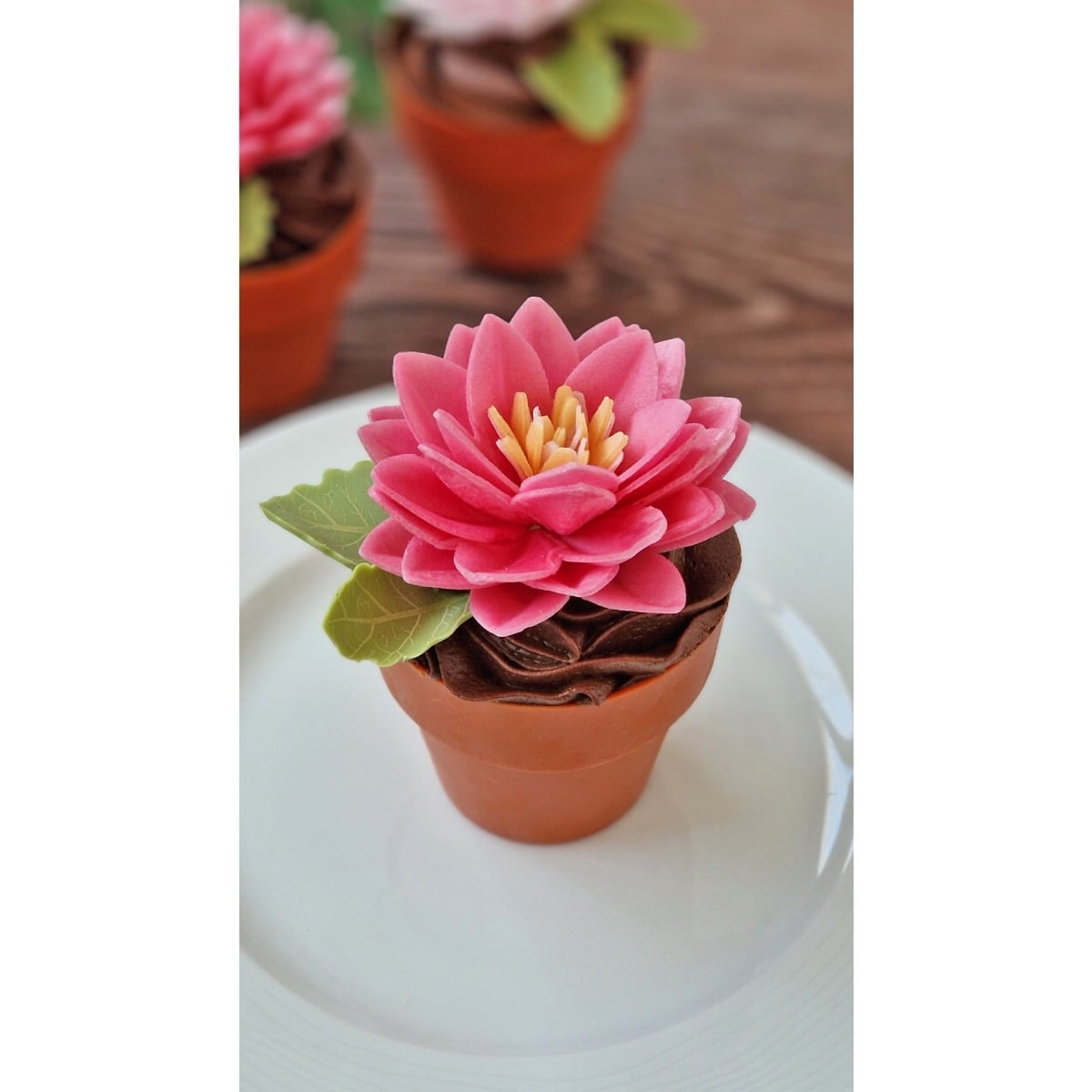 Fleurs de Lotus en azyme assorties (15pcs)
