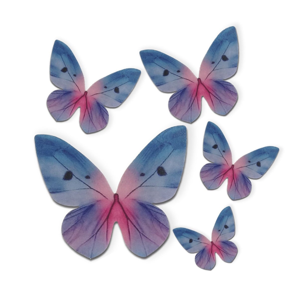 Décos comestibles - Papillons Tons Bleu (79pcs)