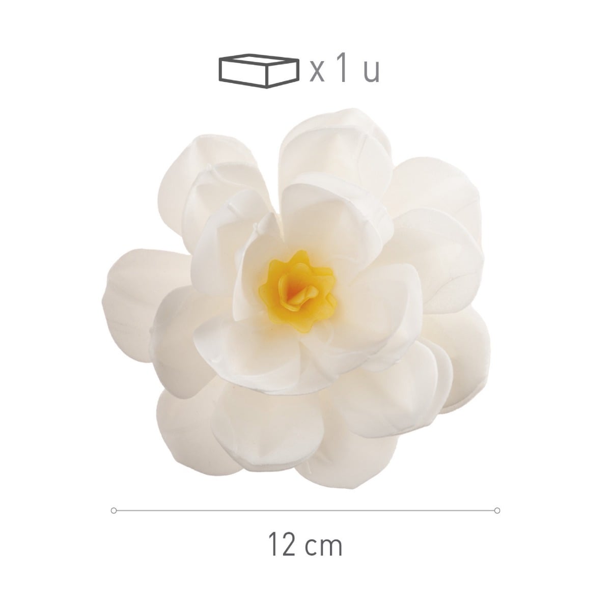 Fleur Blanche Ø12cm