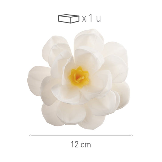 Fleur Blanche Ø12cm