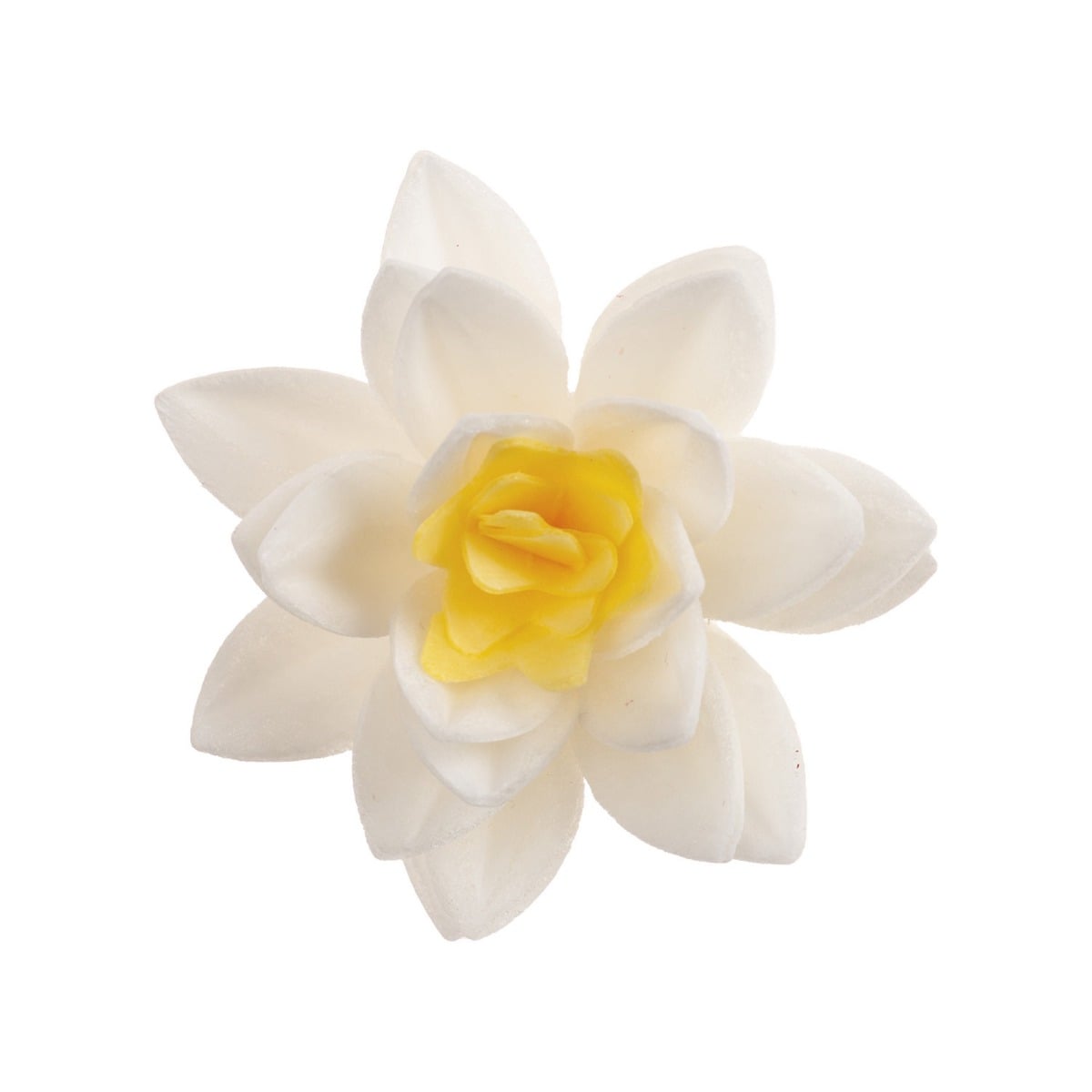 Fleurs Blanches Ø7cm (10pcs)