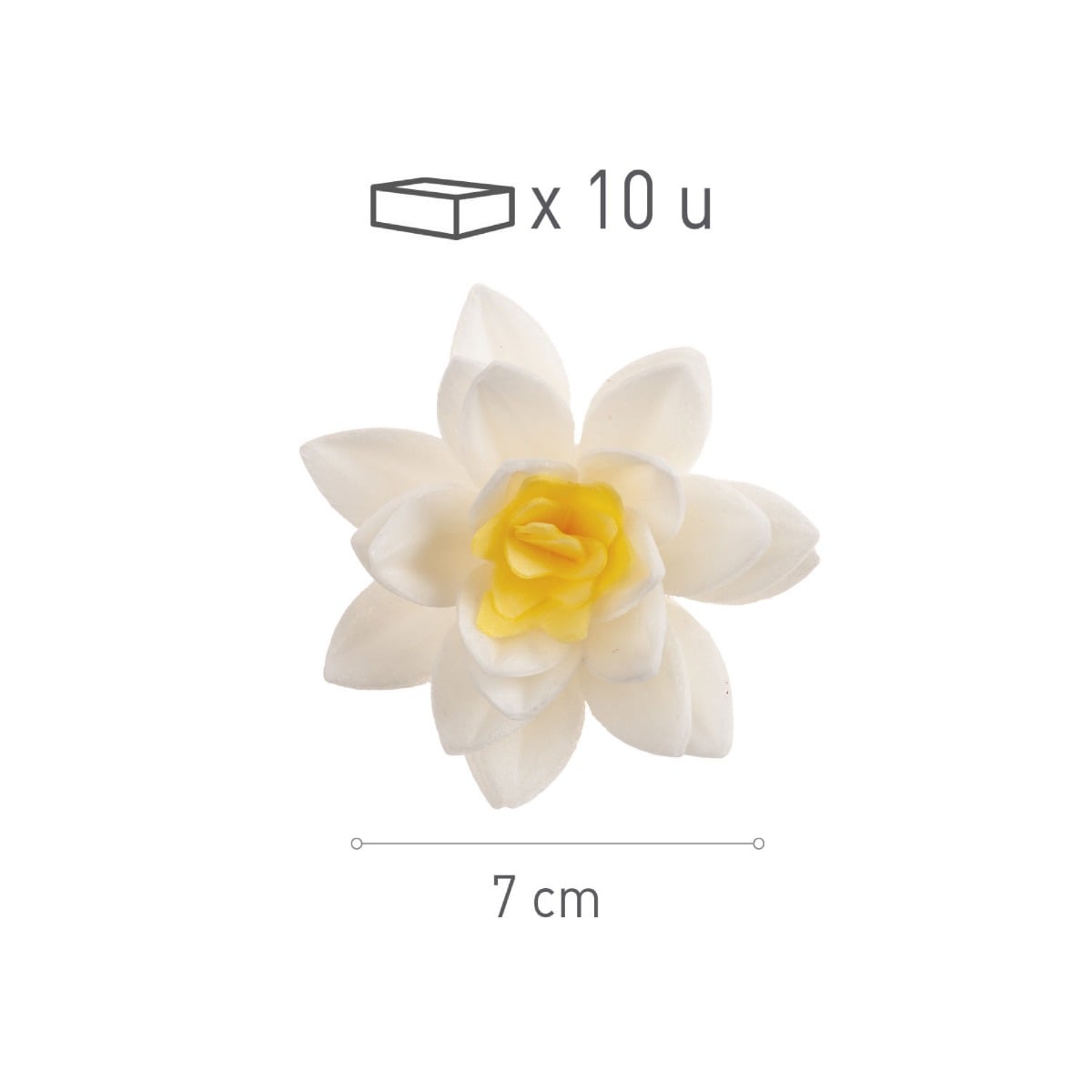 Fleurs Blanches Ø7cm (10pcs)