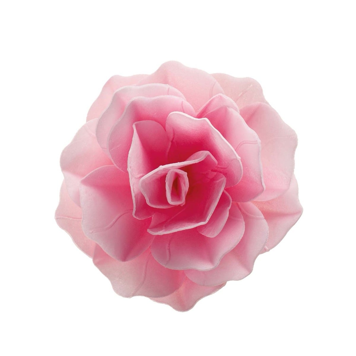 Fleur Rose Géante Ø12.5cm - Rose