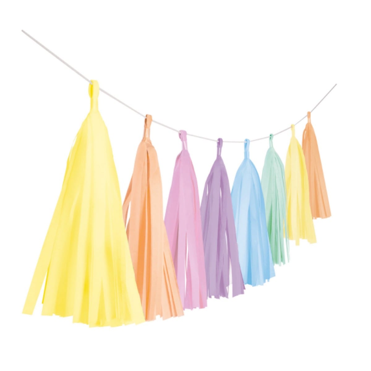 Guirlande de Tassels Multicolore