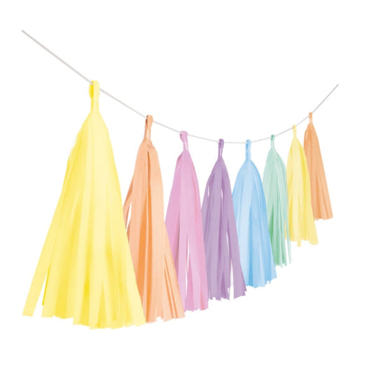 Guirlande de Tassels Multicolore