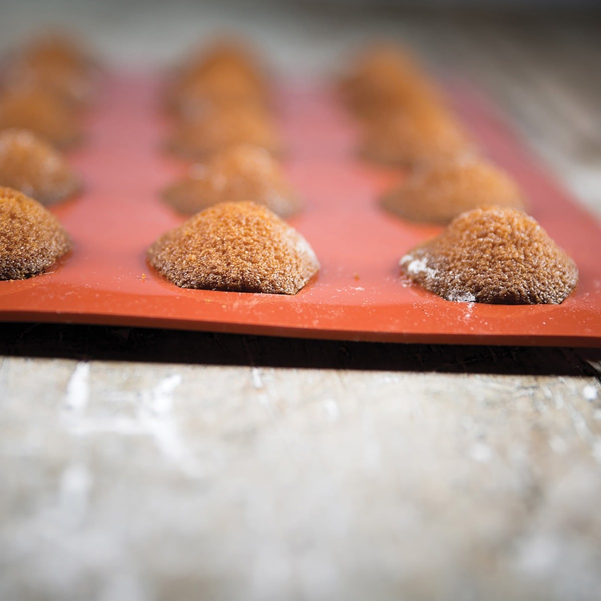 Moule en Silicone - Madeleine