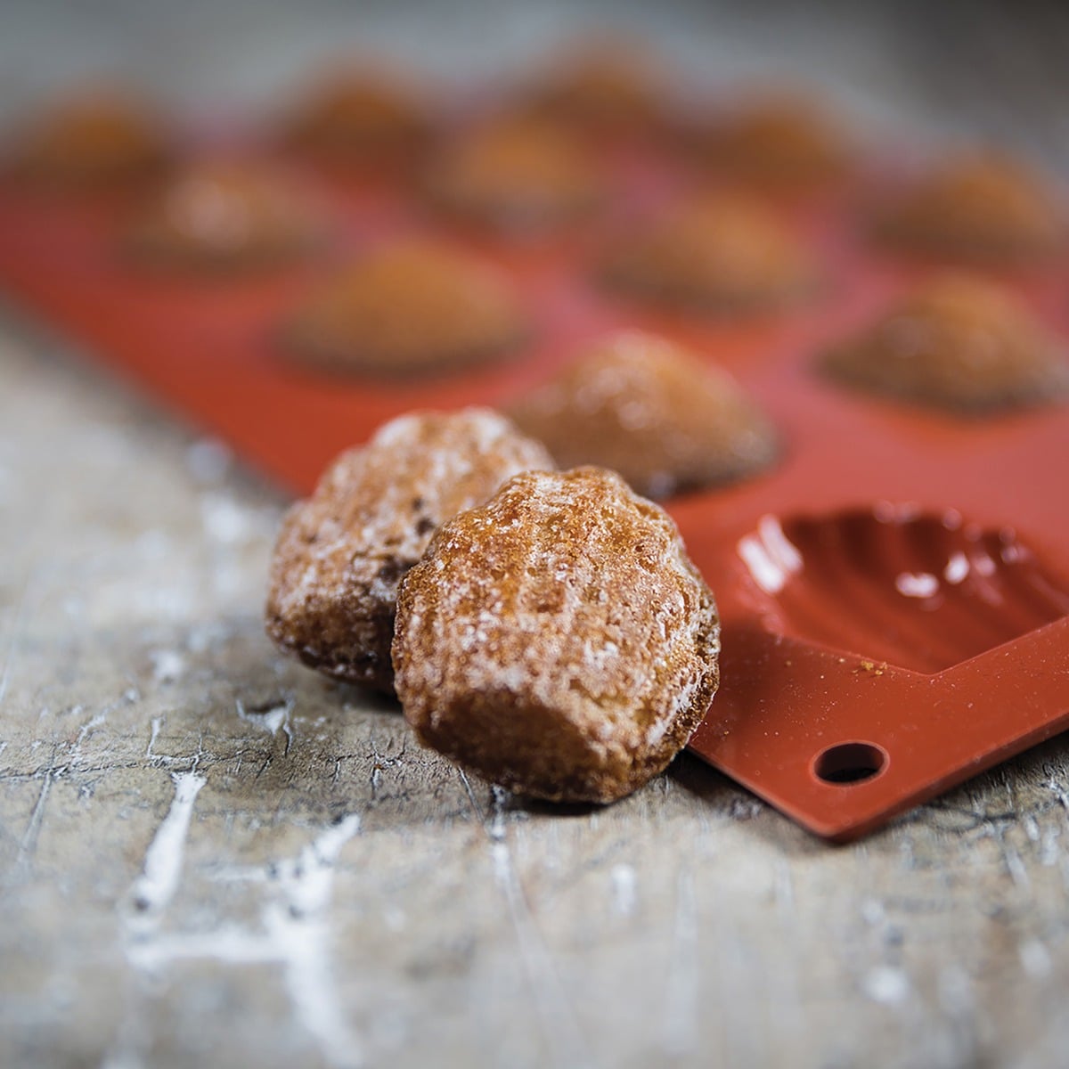 Moule en Silicone - Madeleine