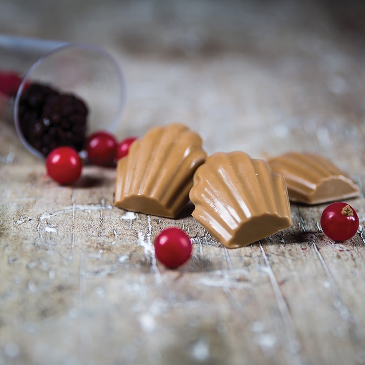 Moule en Silicone - Madeleine