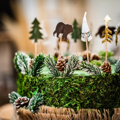 Pics Indian Forest (20pcs)