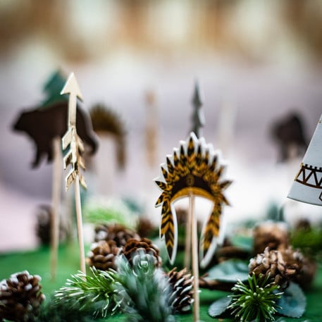 Pics Indian Forest (20pcs)
