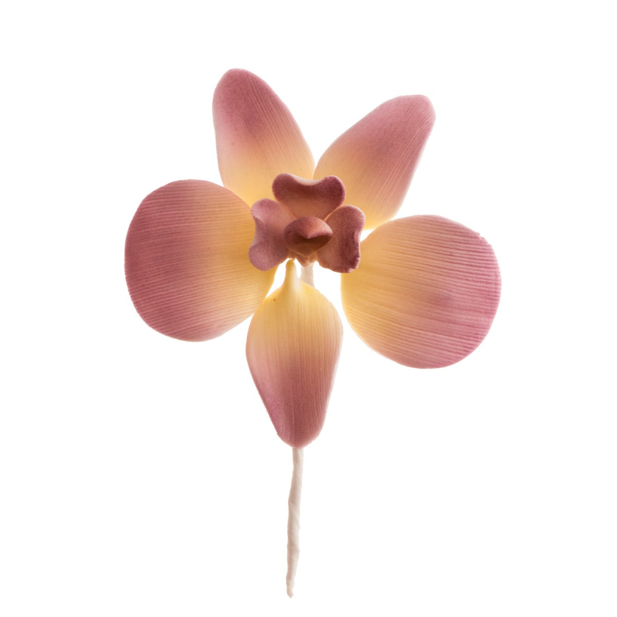 Déco en sucre non comestible - 4 Orchidées Colorées (20pcs)