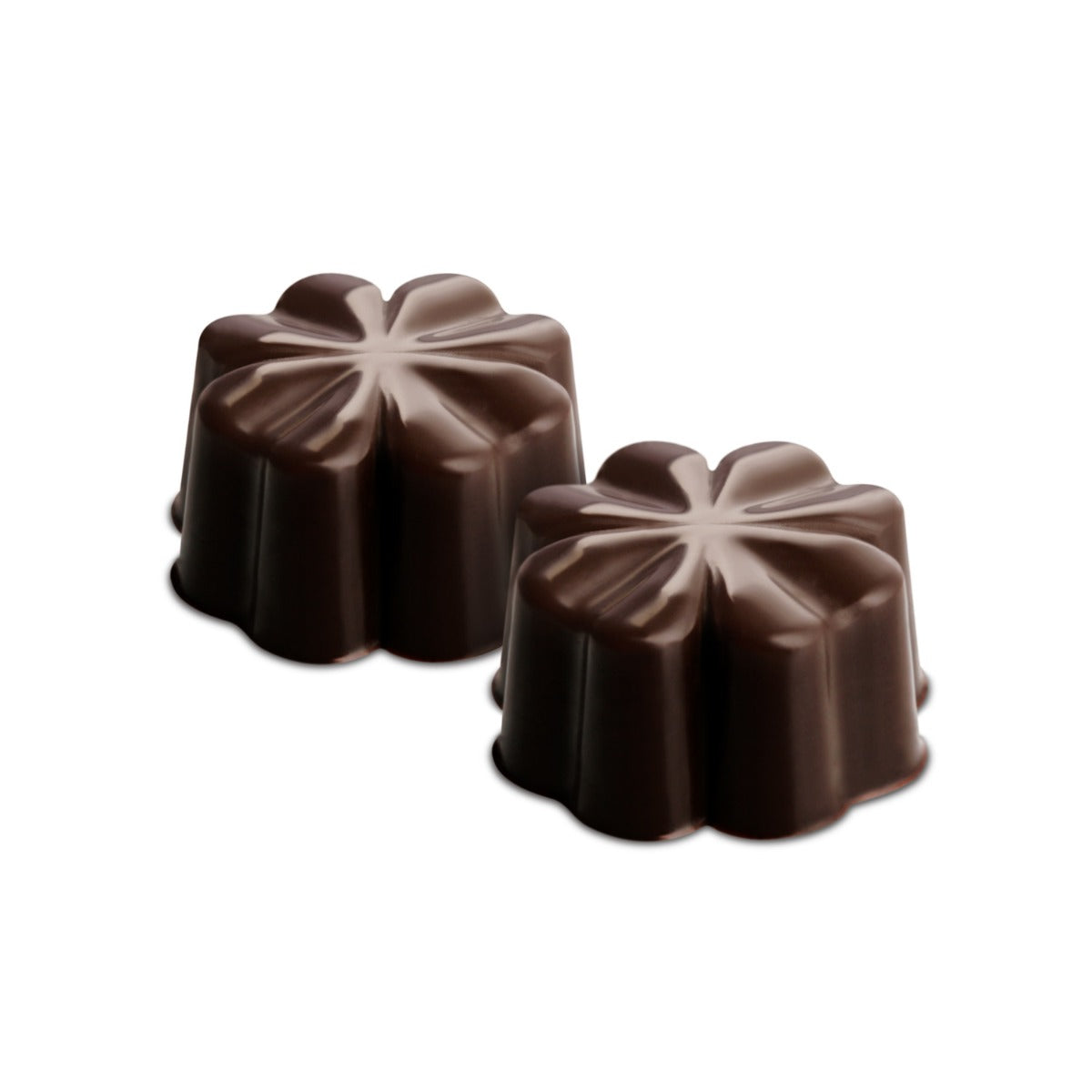 Moule en Silicone pour chocolat - Fleury