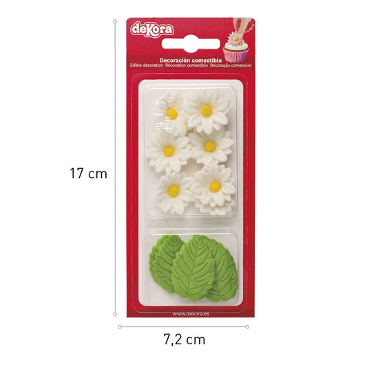 Marguerites blanches et feuilles en sucre