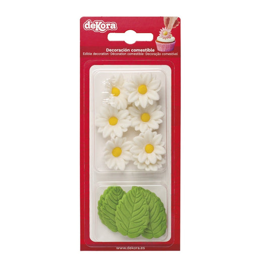 Marguerites blanches et feuilles en sucre