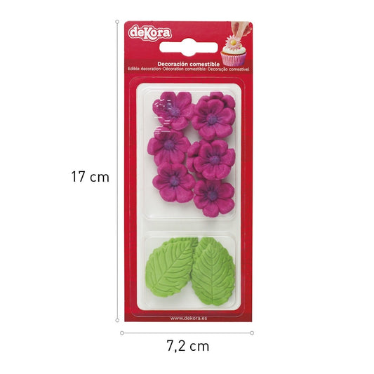 Marguerites fuchsia et feuilles en sucre