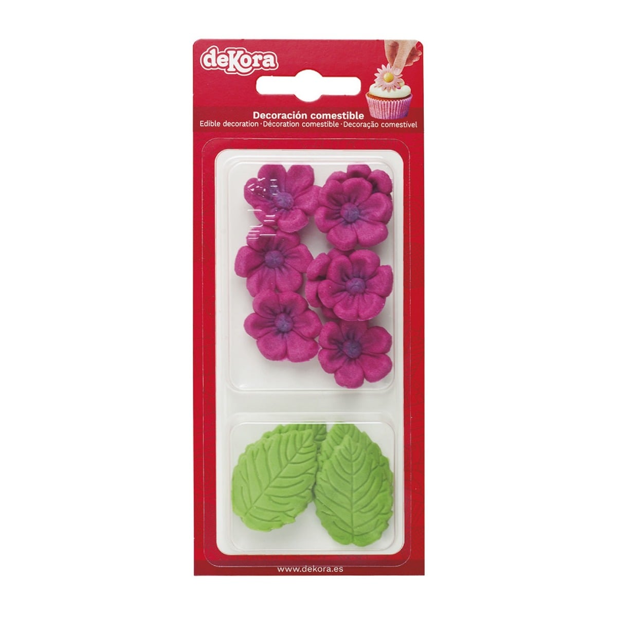 Marguerites fuchsia et feuilles en sucre