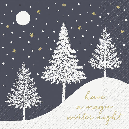 Serviette Hiver - Noir
