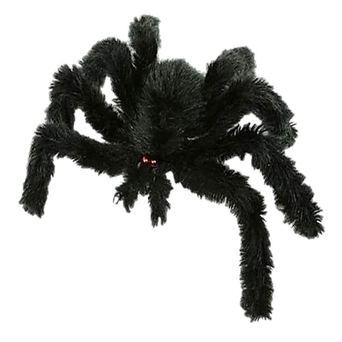 Araignée velue 30cm