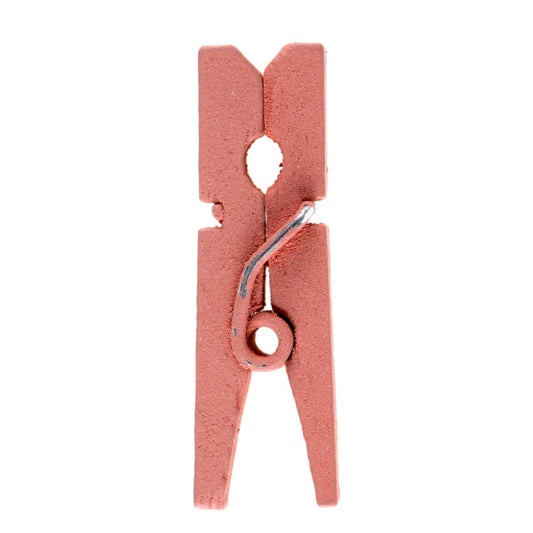 Mini Pincettes Terracotta (24pcs)
