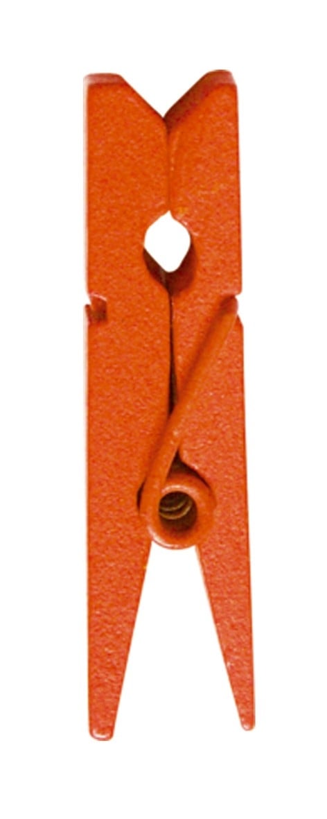 Mini Pincettes Orange (24pcs)
