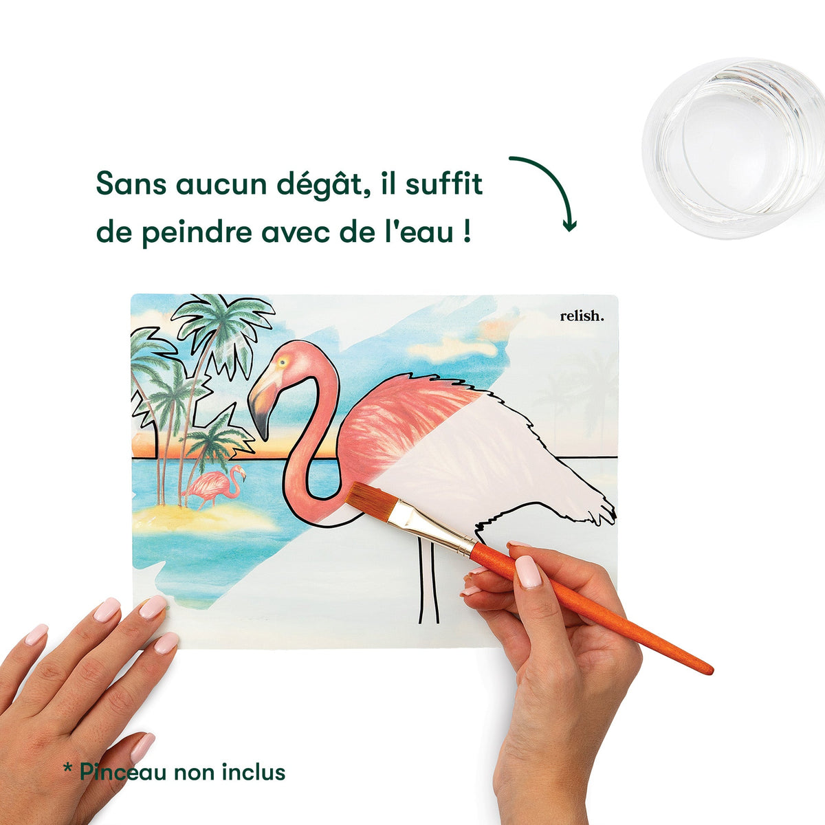 Peinture à l'eau - Magnifiques oiseaux